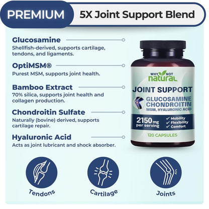 Glucosamine Chondroitin MSM, Joint Support Supplement